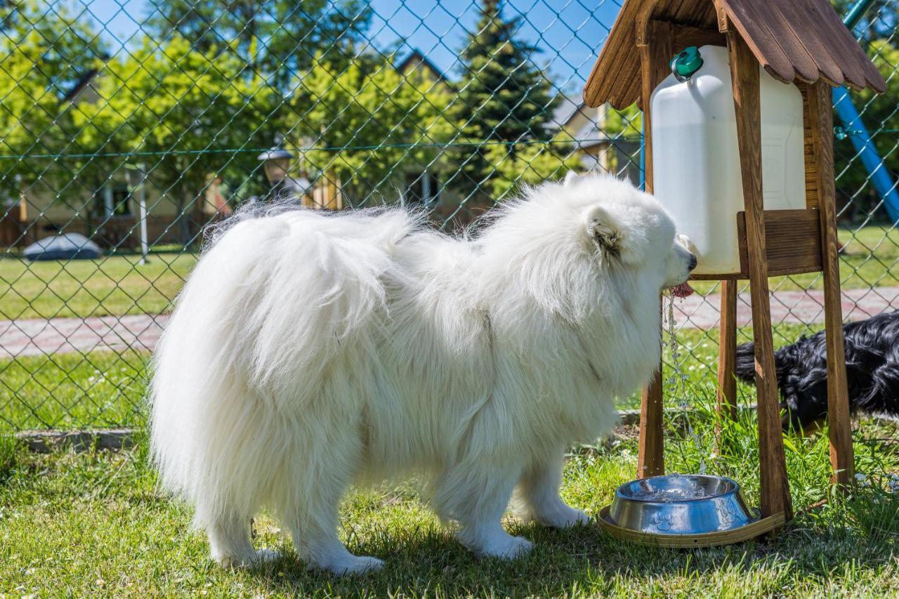 Morskie Dog Friendly Casa vacanze Jantar
