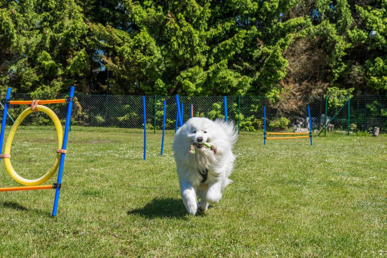 Casa vacanze Morskie Dog Friendly