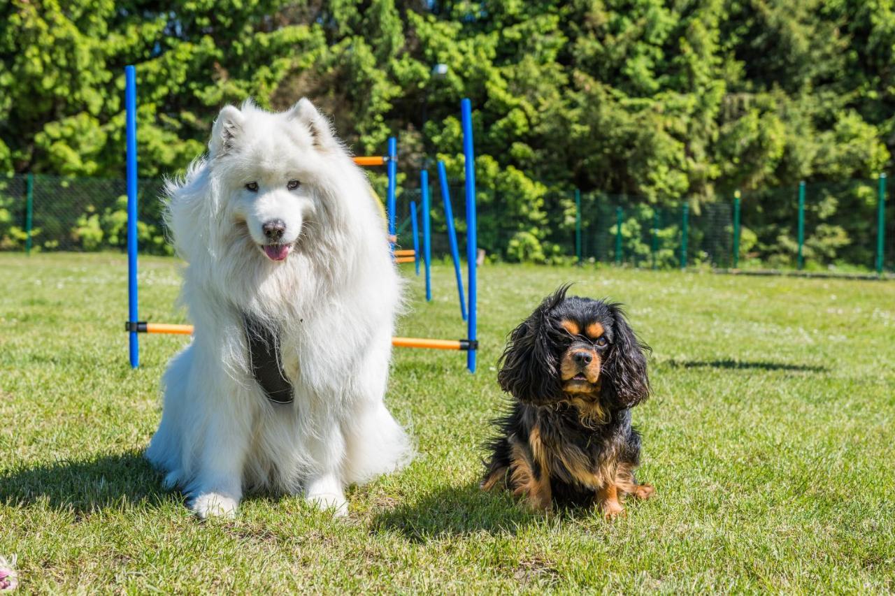Morskie Dog Friendly Casa vacanze Jantar