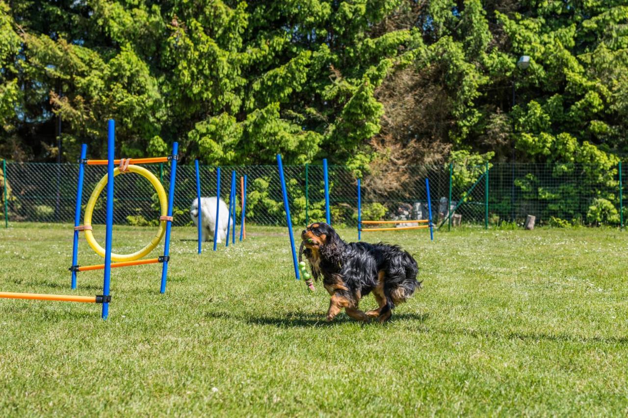 Casa vacanze Morskie Dog Friendly