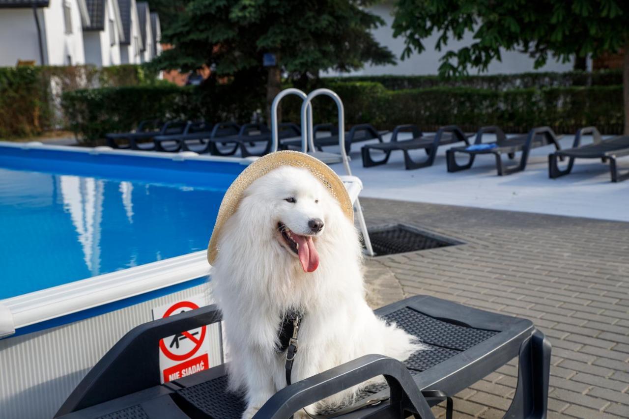 Morskie Dog Friendly Casa vacanze Jantar